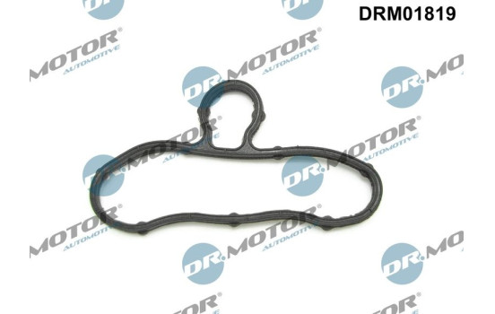 Gasket, timing case cover