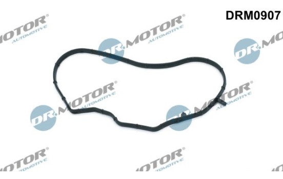 Gasket, timing case cover