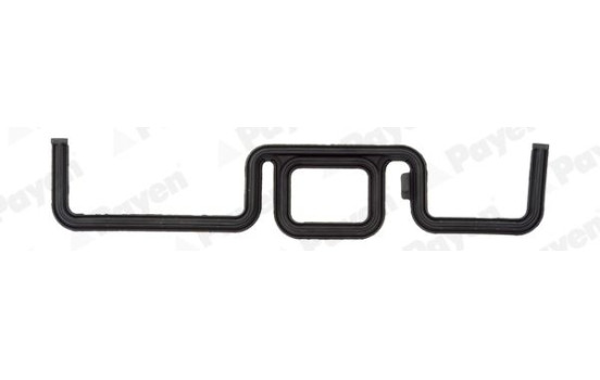 Gasket, timing case JR5031 Payen