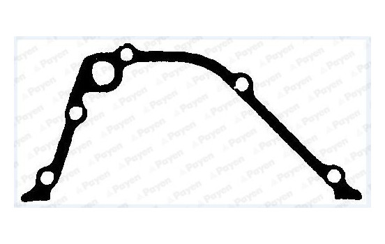 Gasket, timing case JR5053 Payen