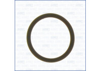 Gasket, timing case