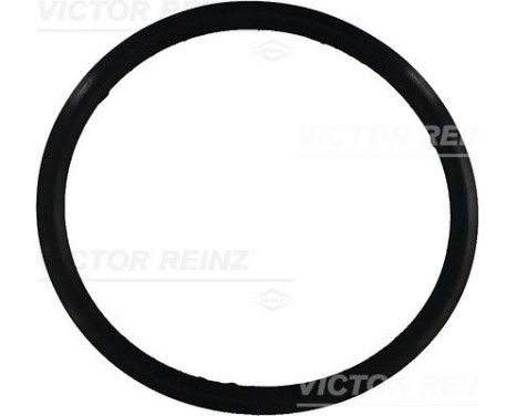 Gasket, cylinder head cover 71-31649-00 Viktor Reinz