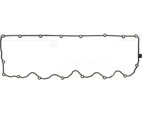 Gasket, cylinder head cover 71-54311-00 Viktor Reinz