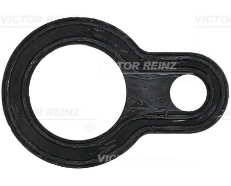 Seal Ring, cylinder head cover bolt 71-28486-00 Viktor Reinz