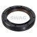 Oil seal, camshaft