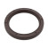 Shaft Seal, camshaft 47313 FEBI