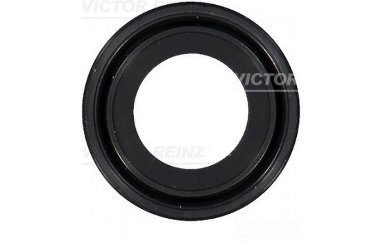 Shaft Seal, camshaft 81-10459-00 Viktor Reinz