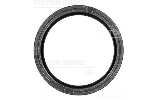 Shaft Seal, camshaft 81-10481-00 Viktor Reinz