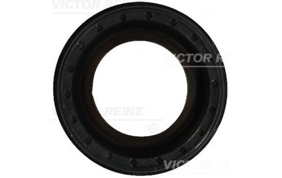 Shaft Seal, camshaft 81-10594-00 Viktor Reinz