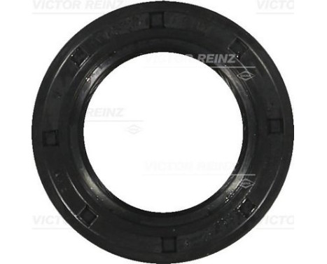 Shaft Seal, camshaft 81-34226-00 Viktor Reinz