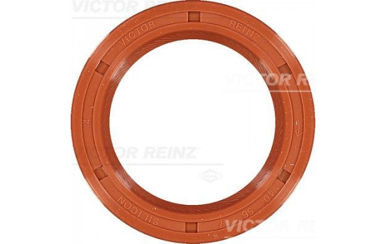 Shaft Seal, camshaft 81-35514-00 Viktor Reinz