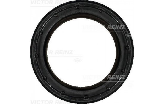 Shaft Seal, camshaft 81-40538-00 Viktor Reinz