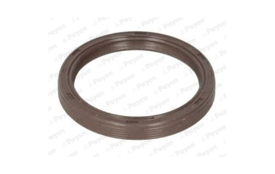 Shaft Seal, camshaft NA5310 Payen