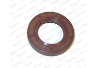 Shaft Seal, camshaft NA5318 Payen