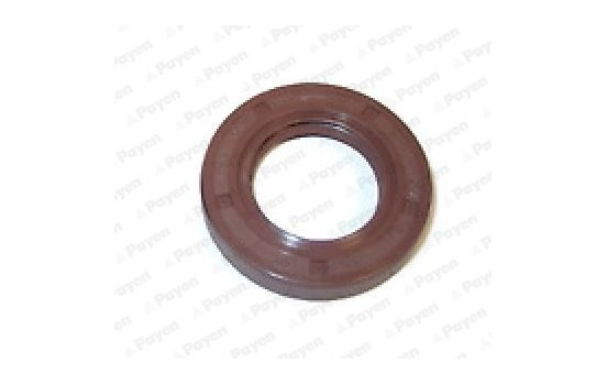 Shaft Seal, camshaft NA5318 Payen