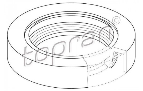 Shaft Seal, camshaft