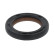 Shaft Seal, camshaft, Thumbnail 2