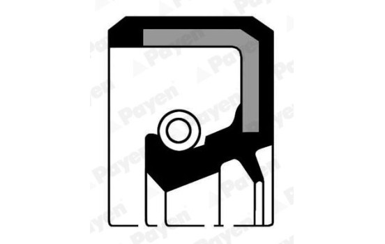 Oil seal, crankshaft NK050 Payen