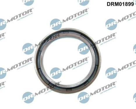 Oil seal, crankshaft