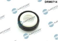Oil seal, crankshaft