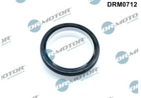 Oil seal, crankshaft