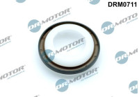 Oil seal, crankshaft