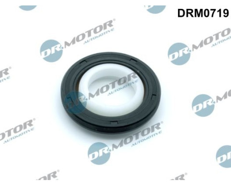 Oil seal, crankshaft