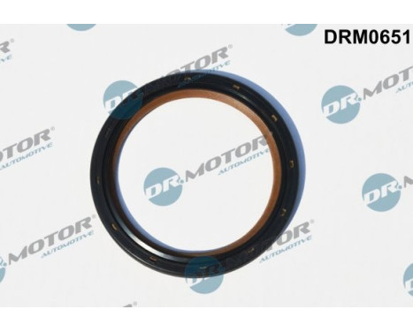 Oil seal, crankshaft