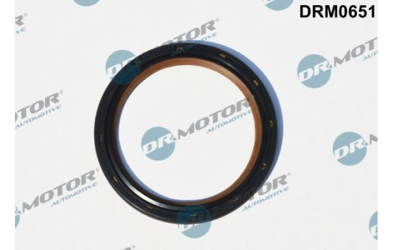 Oil seal, crankshaft