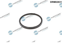 Oil seal, crankshaft