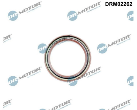 Oil seal, crankshaft