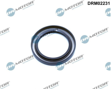 Oil seal, crankshaft