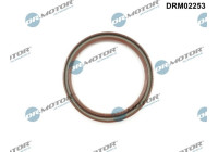 Oil seal, crankshaft