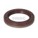 Oil seal, crankshaft
