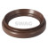 Oil seal, crankshaft