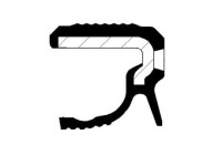 Seal, crankshaft