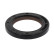 Seal, crankshaft, Thumbnail 3