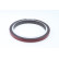 Seal, crankshaft, Thumbnail 4