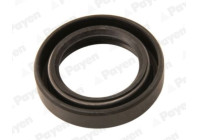 Sealing ring NJ849 Payen