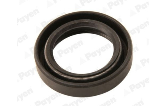 Sealing ring NJ849 Payen
