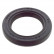 Shaft Seal, crankshaft 107005 FEBI