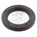 Shaft Seal, crankshaft 107005 FEBI, Thumbnail 2