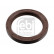 Shaft Seal, crankshaft 32154 FEBI