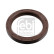 Shaft Seal, crankshaft 32154 FEBI