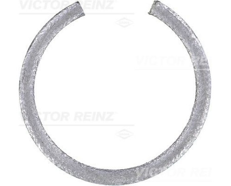 Shaft Seal, crankshaft 71-19722-00 Viktor Reinz