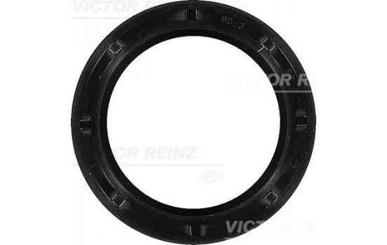 Shaft Seal, crankshaft 81-10001-00 Viktor Reinz