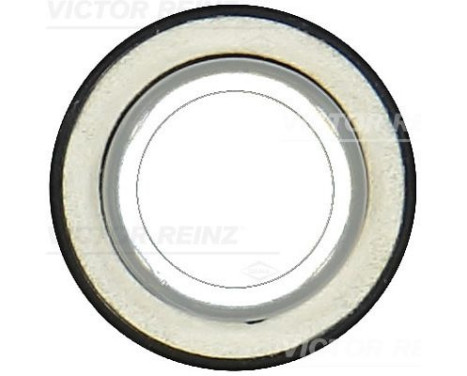 Shaft Seal, crankshaft 81-10559-00 Viktor Reinz