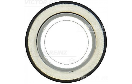 Shaft Seal, crankshaft 81-10559-00 Viktor Reinz