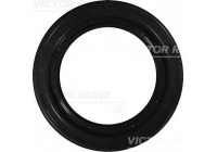 Shaft Seal, crankshaft 81-26248-00 Viktor Reinz