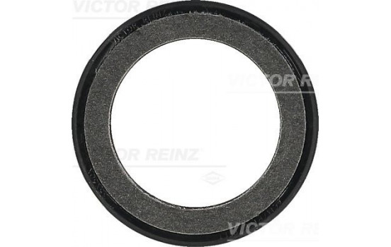 Shaft Seal, crankshaft 81-34316-00 Viktor Reinz